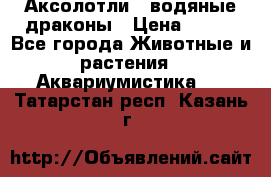 Аксолотли / водяные драконы › Цена ­ 500 - Все города Животные и растения » Аквариумистика   . Татарстан респ.,Казань г.